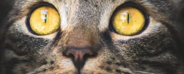 7 способов улучшить концентрацию внимания